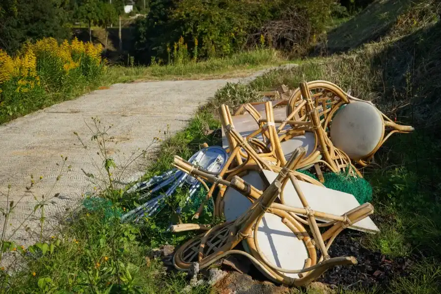 The Connection Between Junk Removal and Lawn Health in Homosassa, FL The Connection Between Junk Removal and Lawn Health in Homosassa, FL